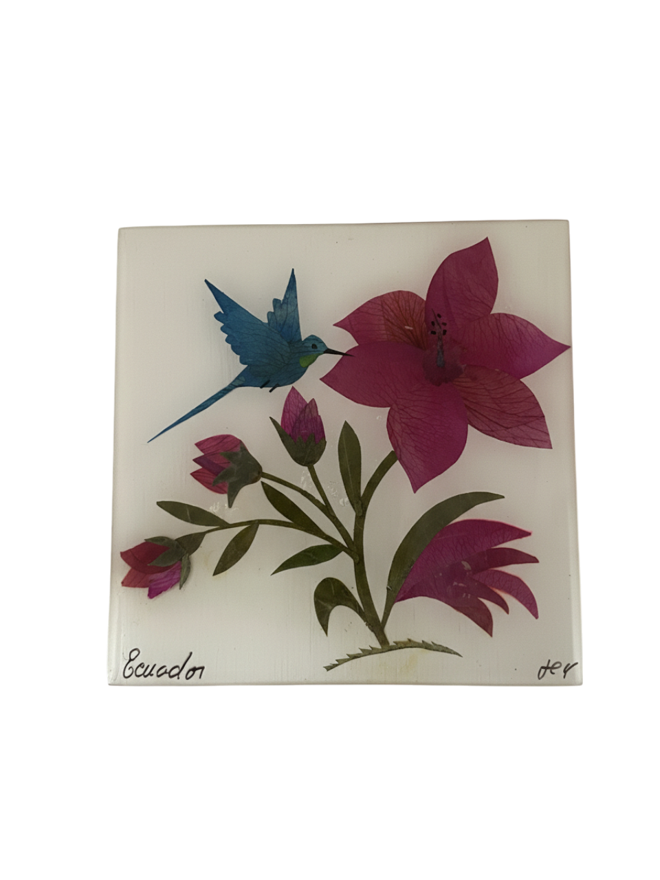 Cajas Multiusos (Colibrí)