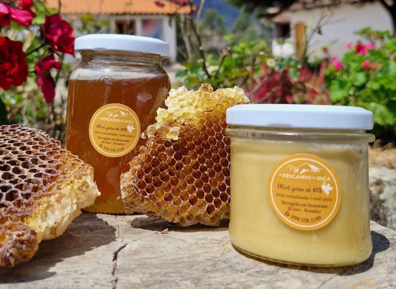 Miel puro de abeja 250 gr