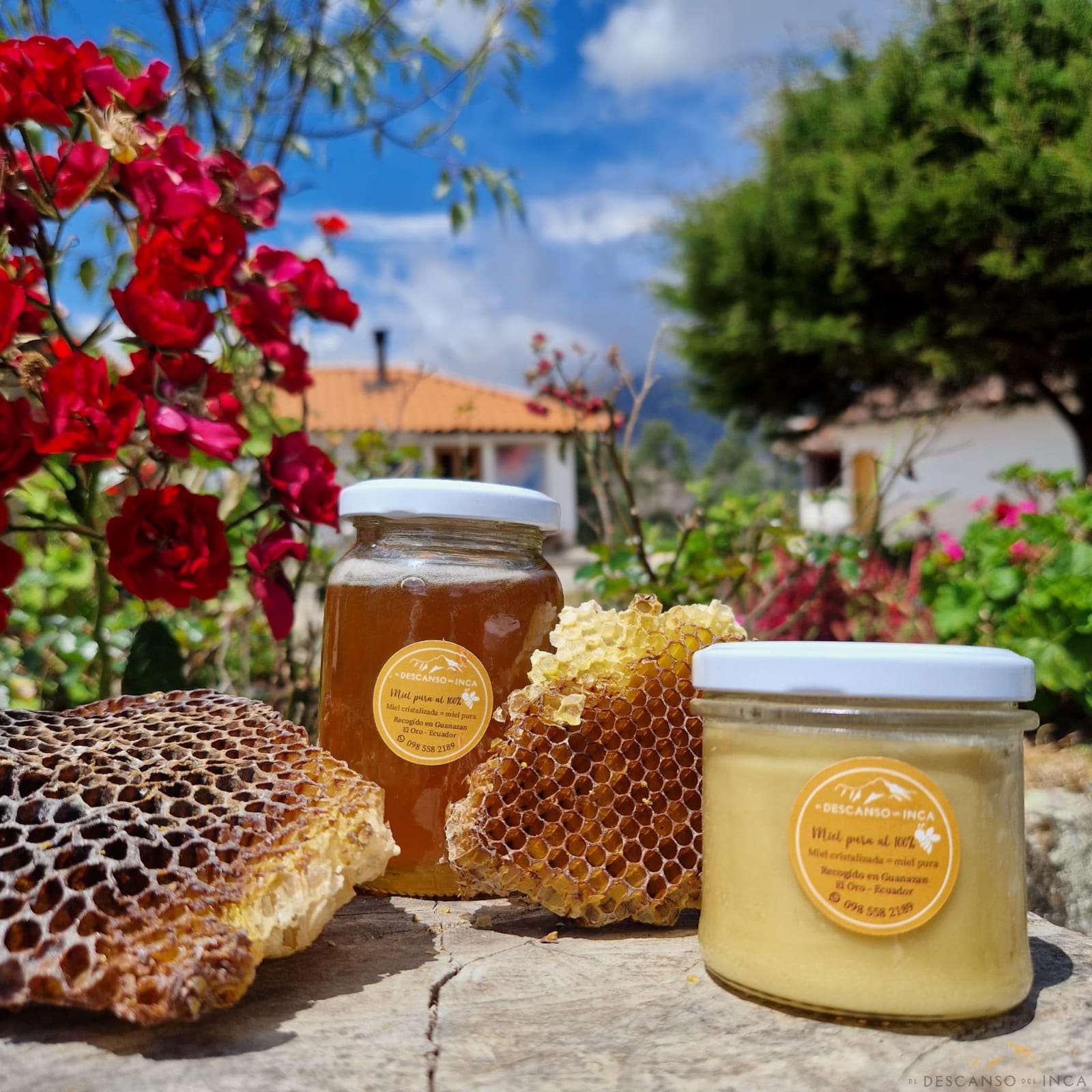 Miel puro de abeja 250 gr