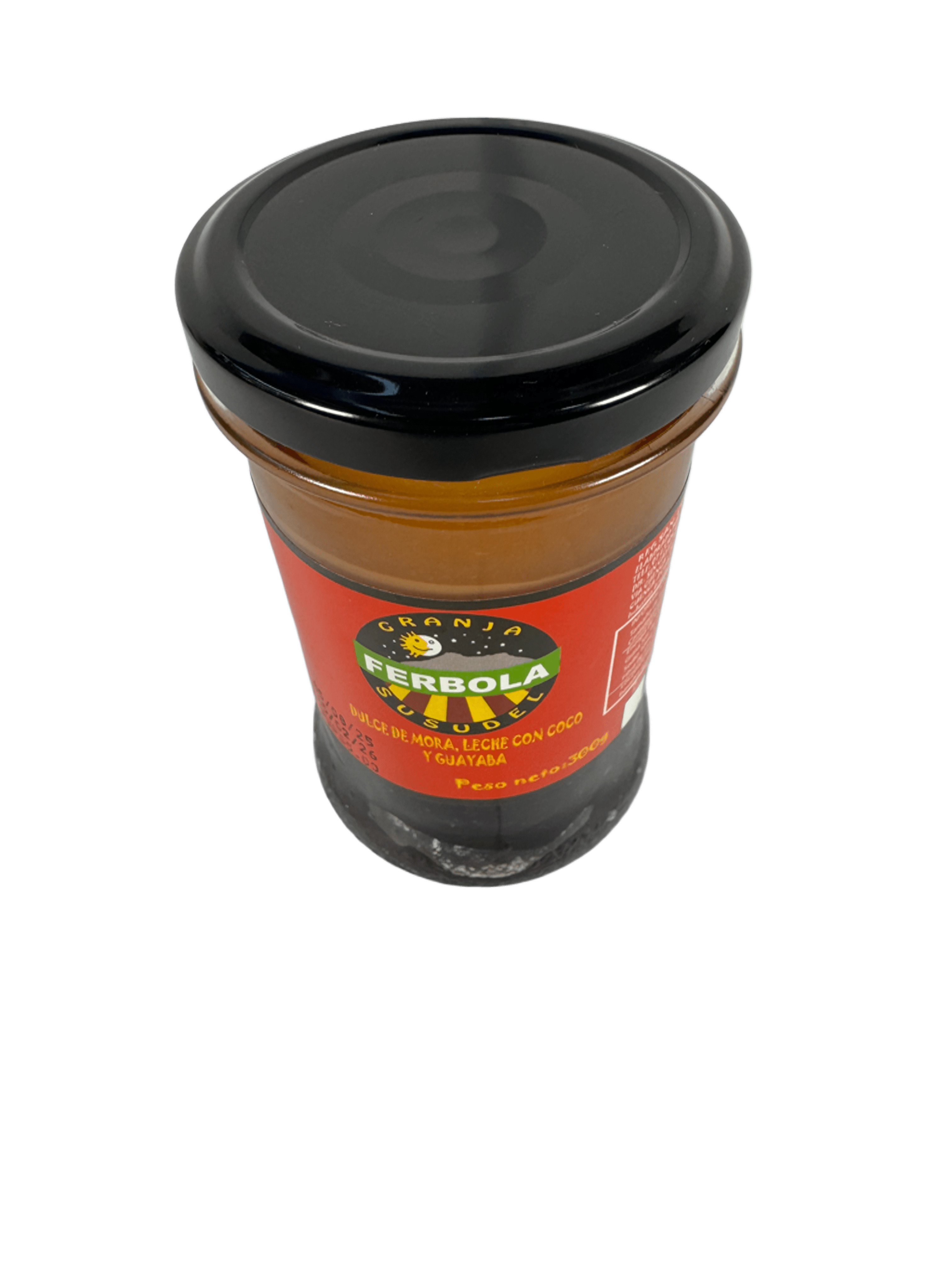FERBOLA\t- Dulce de mora, leche con coco y guayaba.
