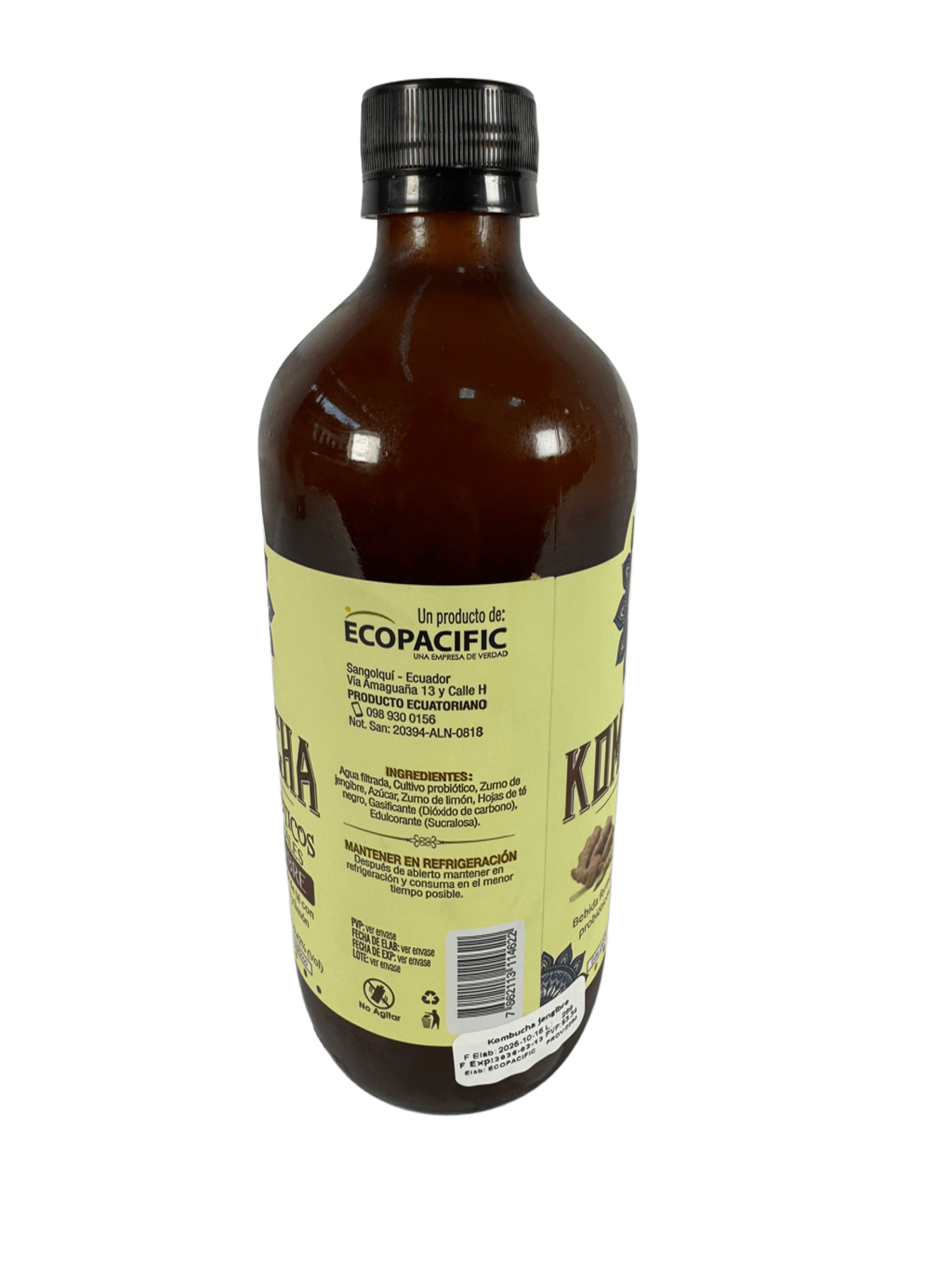 ECO VIDA - Kombucha de jengibre